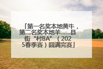 第一名奖本地黄牛，第二名奖本地羊……县街“村BA”（2025春季赛）圆满完赛
