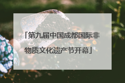 第九届中国成都国际非物质文化遗产节开幕