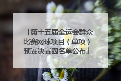 第十五届全运会群众比赛网球项目（单项）预赛决赛圈名单公布