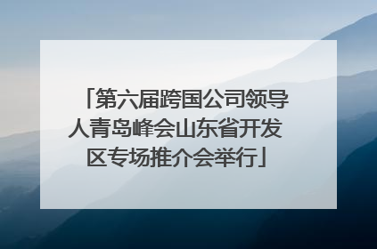 第六届跨国公司领导人青岛峰会山东省开发区专场推介会举行