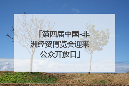 第四届中国-非洲经贸博览会迎来公众开放日
