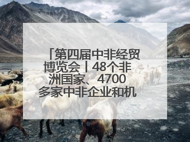 第四届中非经贸博览会丨48个非洲国家、4700多家中非企业和机构将参会