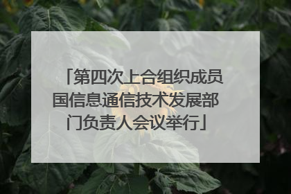 第四次上合组织成员国信息通信技术发展部门负责人会议举行