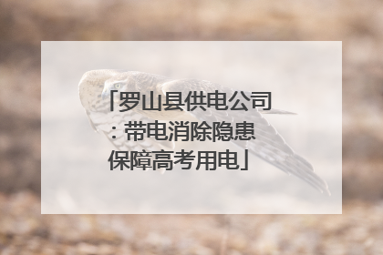 罗山县供电公司：带电消除隐患 保障高考用电