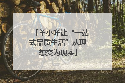 羊小咩让“一站式品质生活”从理想变为现实