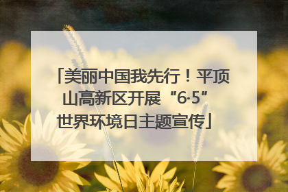 美丽中国我先行！平顶山高新区开展“6·5”世界环境日主题宣传