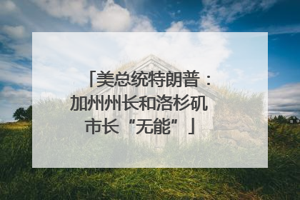 美总统特朗普：加州州长和洛杉矶市长“无能”