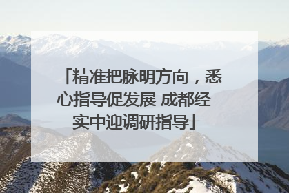 精准把脉明方向，悉心指导促发展 成都经实中迎调研指导