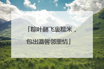 粽叶翻飞裹糯米，包出温馨邻里情