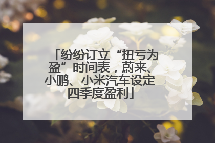 纷纷订立“扭亏为盈”时间表，蔚来、小鹏、小米汽车设定四季度盈利