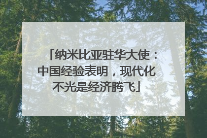 纳米比亚驻华大使：中国经验表明，现代化不光是经济腾飞
