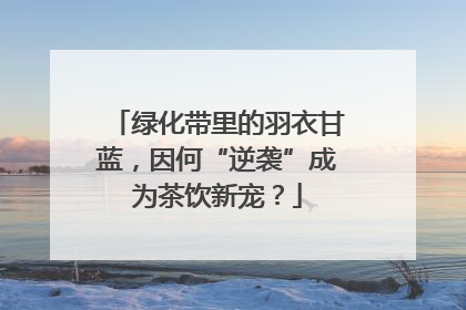绿化带里的羽衣甘蓝，因何“逆袭”成为茶饮新宠？