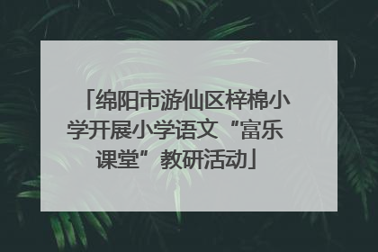 绵阳市游仙区梓棉小学开展小学语文“富乐课堂”教研活动