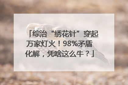 综治“绣花针”穿起万家灯火！98%矛盾化解，凭啥这么牛？