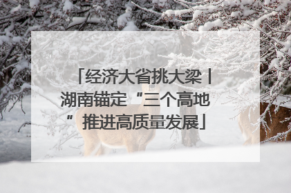 经济大省挑大梁丨湖南锚定“三个高地”推进高质量发展