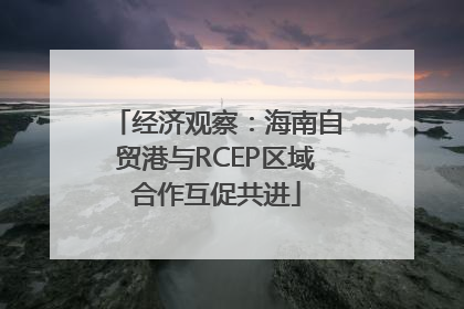 经济观察：海南自贸港与RCEP区域合作互促共进