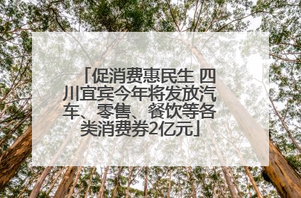 促消费惠民生 四川宜宾今年将发放汽车、零售、餐饮等各类消费券2亿元