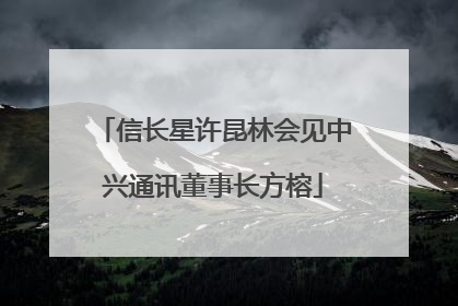 信长星许昆林会见中兴通讯董事长方榕