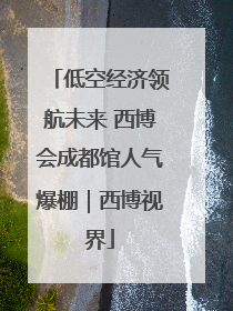 低空经济领航未来 西博会成都馆人气爆棚｜西博视界