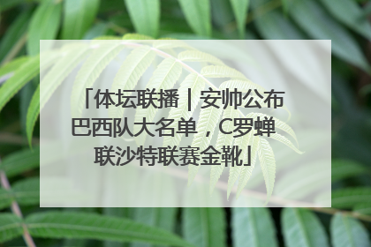 体坛联播｜安帅公布巴西队大名单，C罗蝉联沙特联赛金靴
