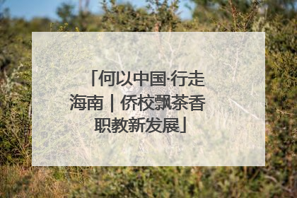 何以中国·行走海南｜侨校飘茶香 职教新发展