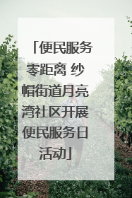 便民服务零距离 纱帽街道月亮湾社区开展便民服务日活动