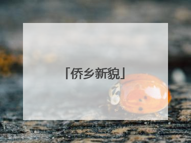 侨乡新貌