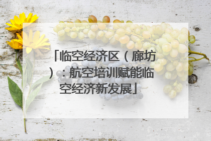 临空经济区（廊坊）：航空培训赋能临空经济新发展