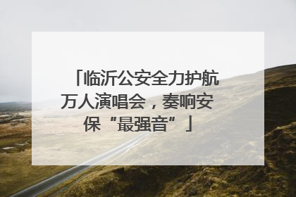 临沂公安全力护航万人演唱会，奏响安保“最强音”