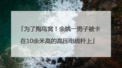 为了掏鸟窝！余姚一男子被卡在10余米高的高压电线杆上