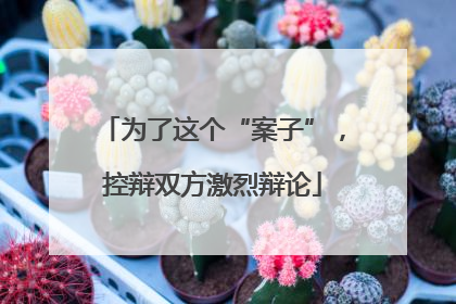 为了这个“案子”，控辩双方激烈辩论