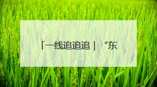 一线追追追｜“东方启明星”广州总部申请变更法人，被市场监管部门限制