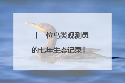 一位鸟类观测员的七年生态记录