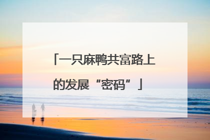 一只麻鸭共富路上的发展“密码”
