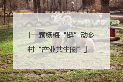 一颗杨梅“链”动乡村“产业共生圈”