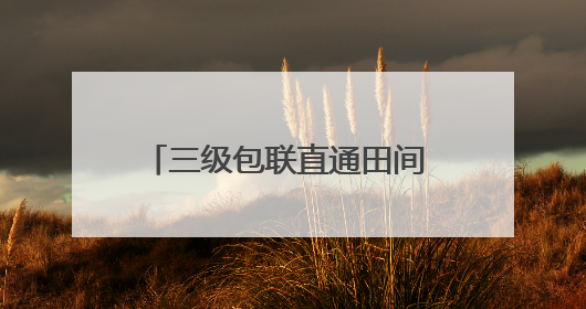 三级包联直通田间 科技赋能乡村振兴