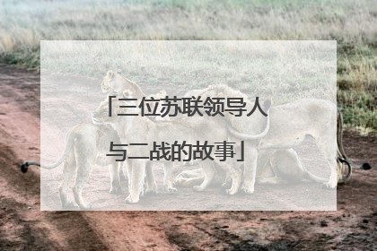 三位苏联领导人与二战的故事