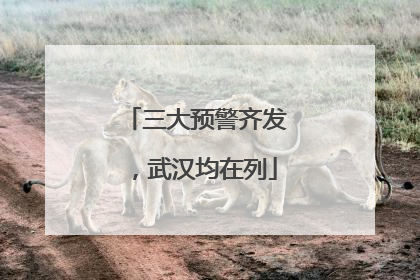 三大预警齐发，武汉均在列