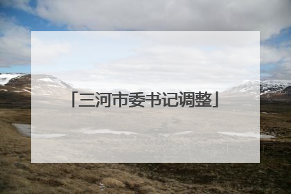 三河市委书记调整