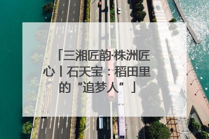 三湘匠韵·株洲匠心丨石天宝：稻田里的“追梦人”