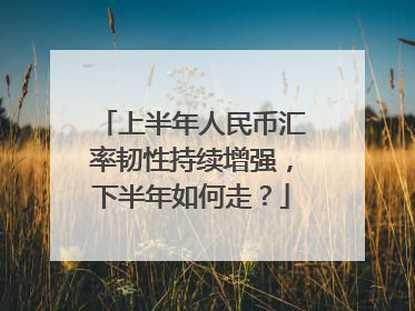 上半年人民币汇率韧性持续增强，下半年如何走？