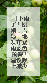 下雨了！刚刚，青岛一地发布暴雨蓝色预警！建议晚上减少出