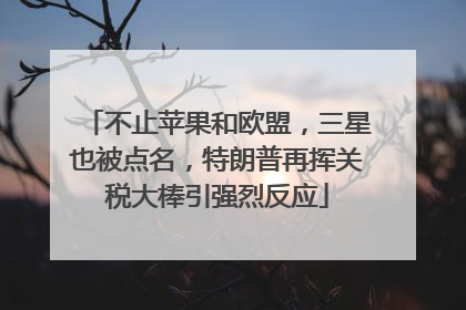 不止苹果和欧盟，三星也被点名，特朗普再挥关税大棒引强烈反应