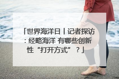 世界海洋日丨记者探访：经略海洋 有哪些创新性“打开方式”？