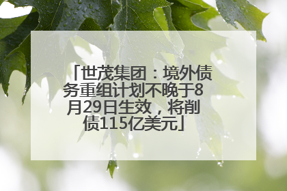 世茂集团：境外债务重组计划不晚于8月29日生效，将削债115亿美元