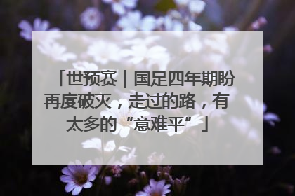 世预赛｜国足四年期盼再度破灭，走过的路，有太多的“意难平”