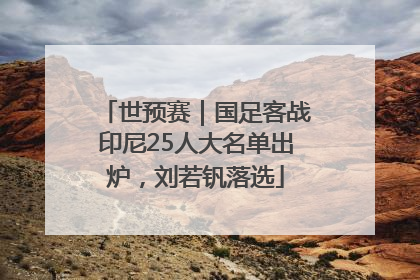 世预赛｜国足客战印尼25人大名单出炉，刘若钒落选