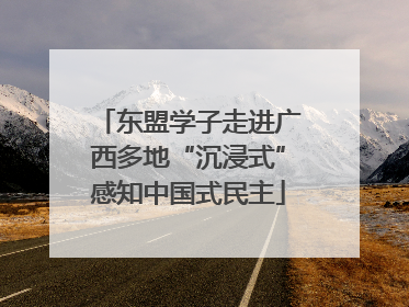 东盟学子走进广西多地“沉浸式”感知中国式民主