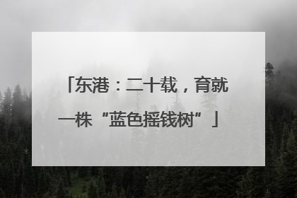 东港：二十载，育就一株“蓝色摇钱树”