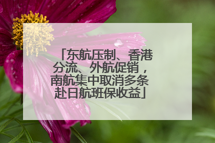 东航压制、香港分流、外航促销，南航集中取消多条赴日航班保收益